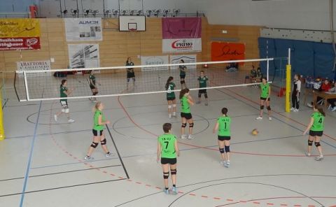 Damenmannschaft 2011