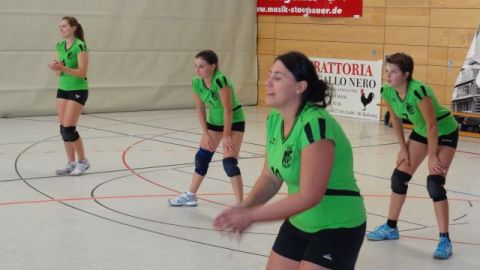 Damenmannschaft 2011