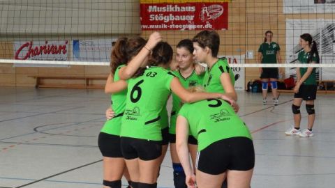 Damenmannschaft 2011